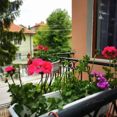 Casa Divna Guest house Velingrad